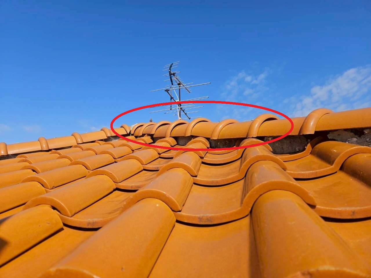 お住いの屋根を見てみて下さい瓦編